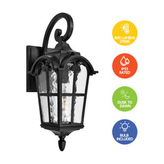 17-in Black Dusk to Dawn Outdoor Wall Light