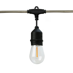 24 FT. Black Filament String Light 12 Bulbs, Connect up to 6