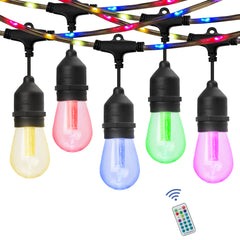 48-ft Color Changing LED String Light with Rope Light