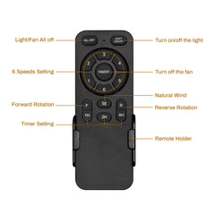 20 in. Black Caged Ceiling Fan with Remote Control