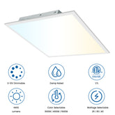 2 x 2 ft. 4400-Lumens LED Flat Panel Light-2Pack