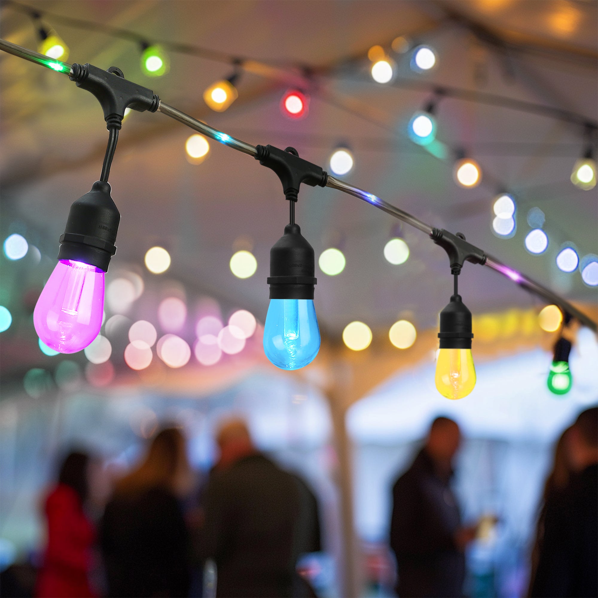 48-ft Color Changing LED String Light with Rope Light