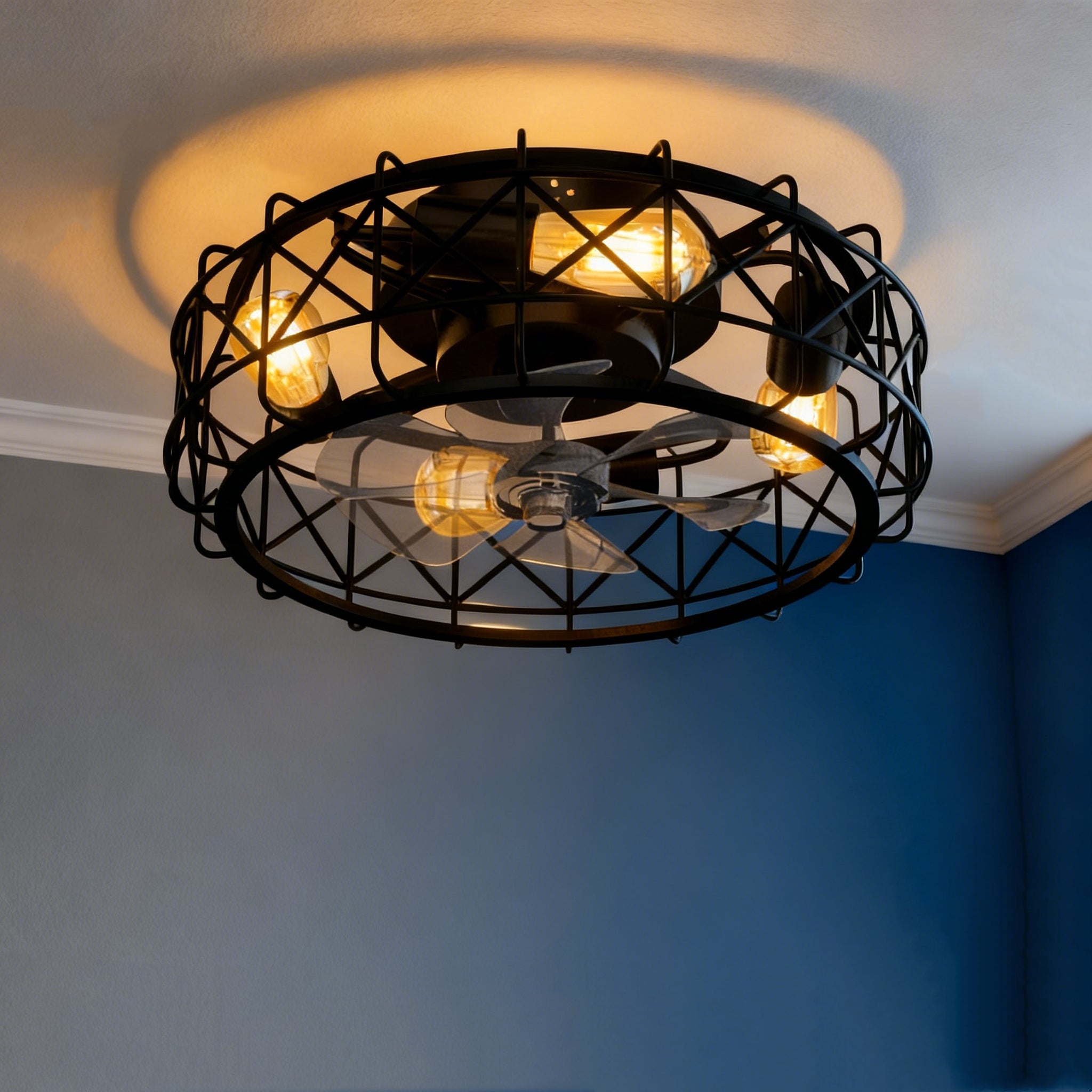 20 in. Black Caged Ceiling Fan with Remote Control