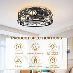 20 in. Black Caged Ceiling Fan with Remote Control