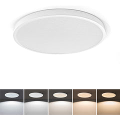 15-in Crackle Lens White Integrated LED Flush Mount Light