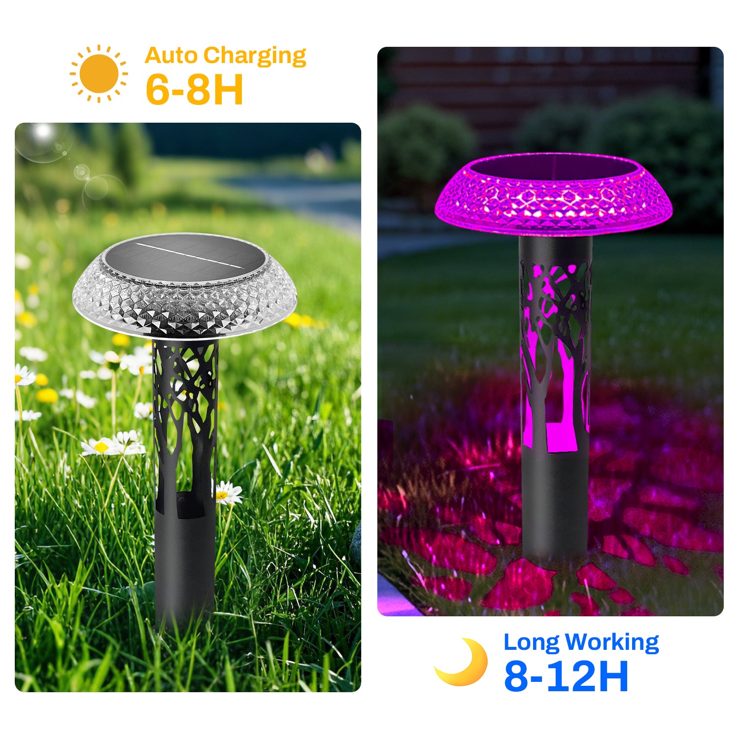Solar Landscape Lights – Elegant and Energy-Efficient Outdoor Lighting