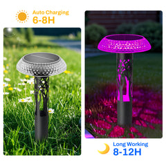 Solar Landscape Lights – Elegant and Energy-Efficient Outdoor Lighting